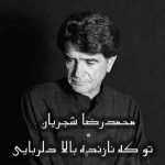 دانلود آهنگ محمدرضا شجریان – تو که نازنده بالا دلربایی