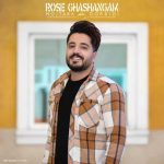 دانلود آهنگ جدید مجتبی دربیدی به نام رز قشنگم