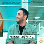 دانلود آهنگ جدید ناصر زینلی به نام با توام