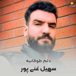 دانلود آهنگ سهیل غنی پور به نام دلم طوفانیه (ریمیکس)